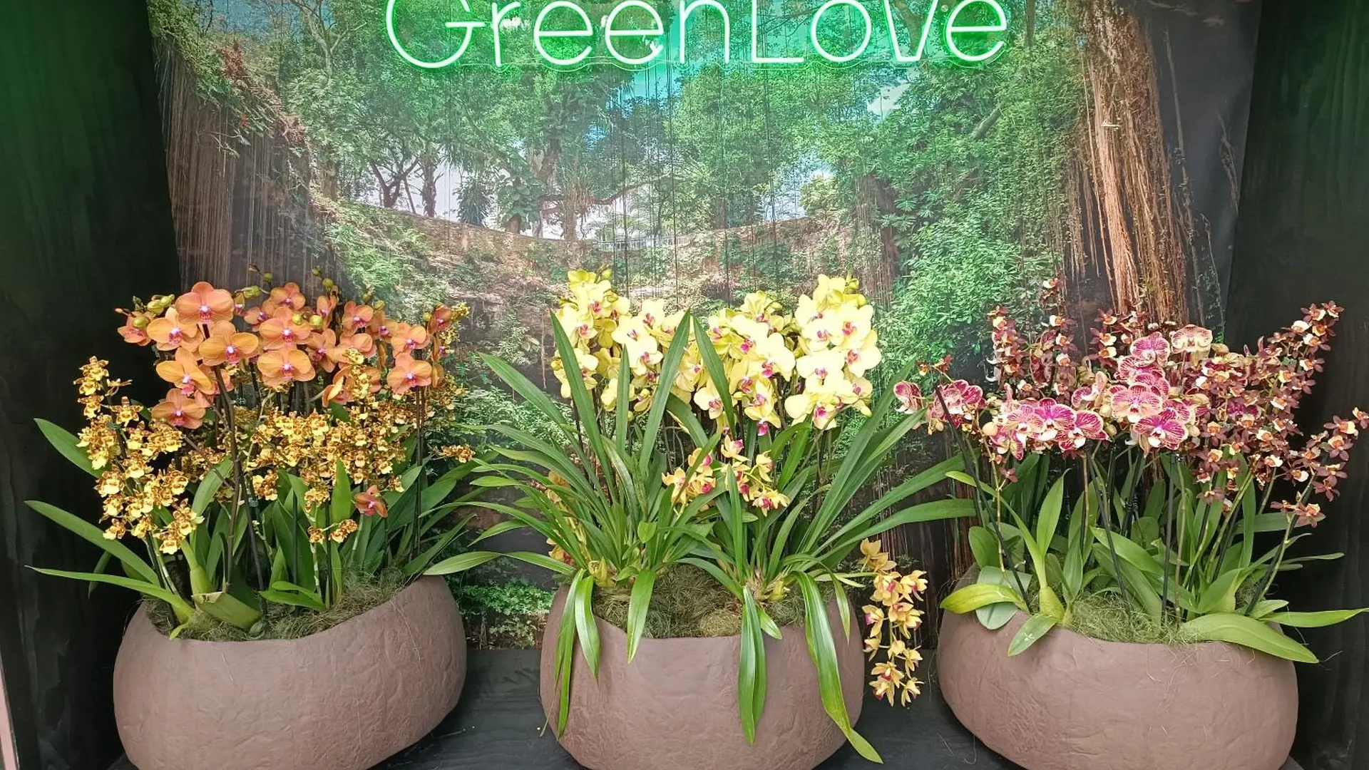 Apartamento Green Kawalerka Gdansk